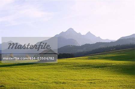 Wiese und Karwendel-Gebirge in Bayern