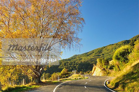 Takaka Hill Highway, Tasman Region, South Island, New Zealand