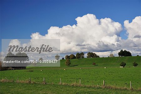 Ackerland, nahe Taupo, Waikato, Nordinsel, Neuseeland