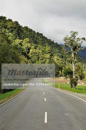 Route de harihari et forestiers indigènes, côte ouest, île du Sud, Nouvelle-Zélande