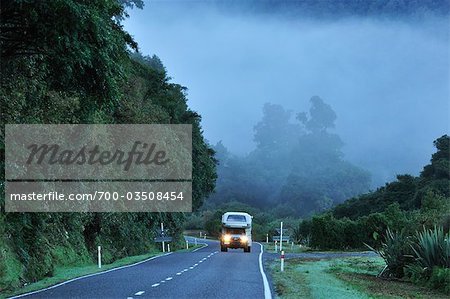 Haast Highway à travers forêt tropicale, côte ouest, île du Sud, Nouvelle-Zélande
