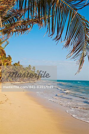 Iguana Beach, Little Corn Island, Corn Islands, Nicaragua Iguana Beach, Little Corn Island, Corn Islands, Nicaragua