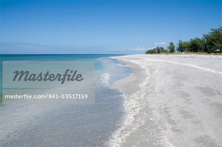 Beach covered in shells, Captiva Island, Gulf Coast, Florida, United States of America, North America