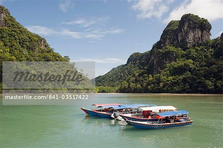 Colourful boats, Langkawi Island, Kedah State, Malaysia, Southeast Asia, Asia