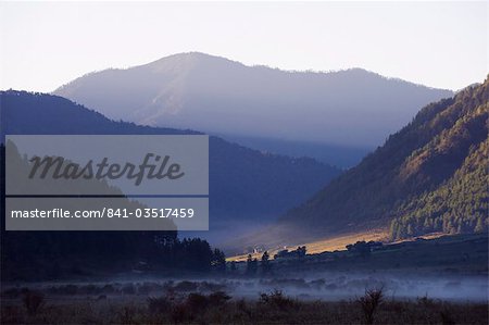 Brouillard dans la vallée de Phobjikha, Bhoutan, Himalaya, Asie