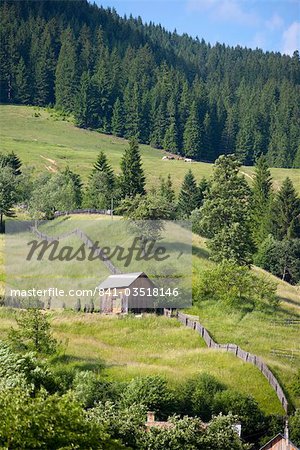 Countryside near Suceava, Bucovina, Romania, Europe