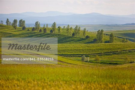 Countryside near Suceava, Bucovina, Romania, Europe