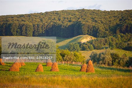 Countryside near Guru Humorului, Bucovina, Romania, Europe