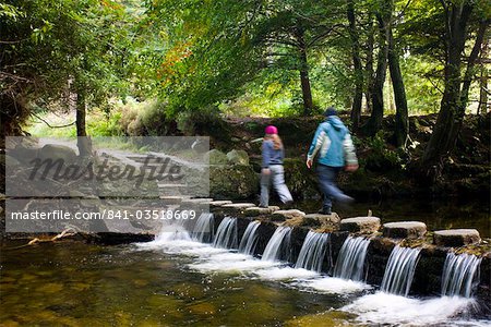 Marcheurs traversant les pierres de gué au-dessus d'un ruisseau en cascade dans Tollymore Forest Park, comté de Down, Ulster, Irlande du Nord, Royaume-Uni, Europe