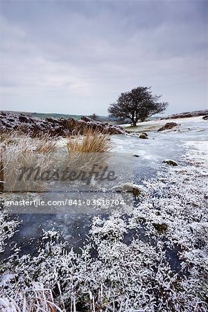 Neige et glace sur Porlock commun en hiver, le Parc National d'Exmoor, Somerset, Angleterre, Royaume-Uni, Europe