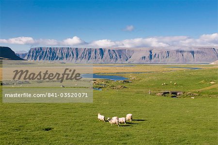 Westfjord scenery, Iceland, Polar Regions