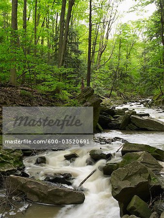 Beamer Falls Conservation Area, Grimsby, Ontario, Canada