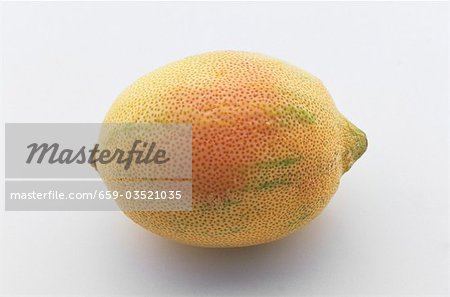 Rose citron Rose citron