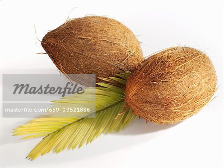 Zwei Kokosnüsse