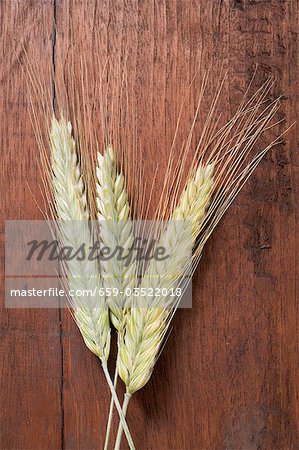 Three cereal ears (rye and barley) on wooden background