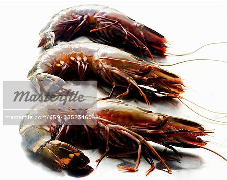 Trois crevettes rouges fraîches (Asie)