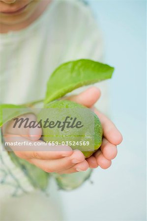 Small boy holding a fresh lime with leaves