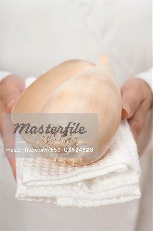 Hands holding large shell on white towel