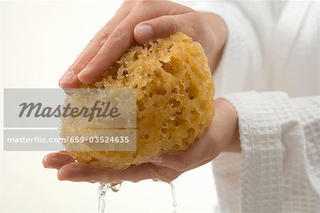 Hands squeezing out wet bath sponge
