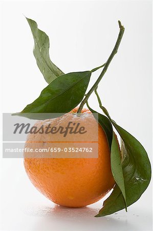 Orange with stalk and leaves