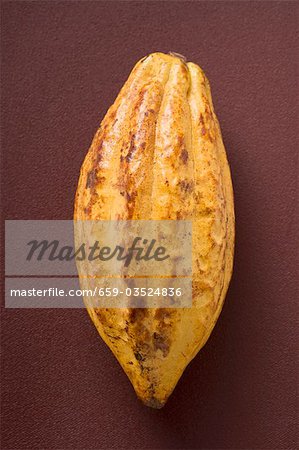 Fruits de cacao sur fond marron