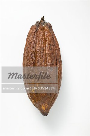 Cacao fruit