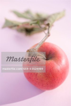 Red apple with stalk and leaves (overhead view)