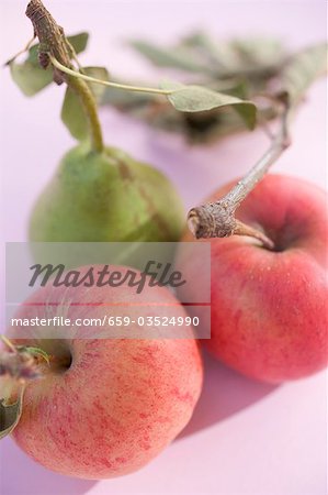 Poire et deux pommes avec les tiges et les feuilles (vue aérienne) Poire et deux pommes avec les tiges et les feuilles (vue aérienne)