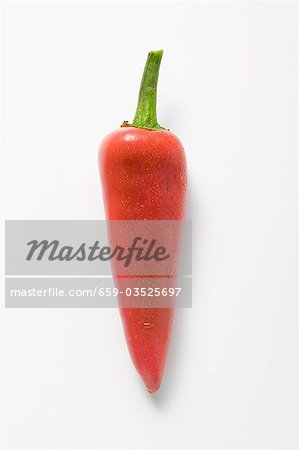 Red chilli with drops of water