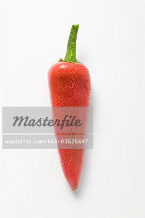 Piment rouge avec des gouttes d'eau