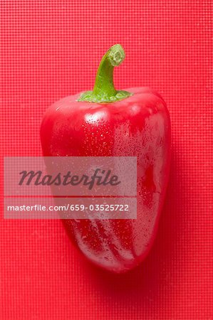 Poivron rouge avec des gouttes d'eau sur fond rouge Poivron rouge avec des gouttes d'eau sur fond rouge