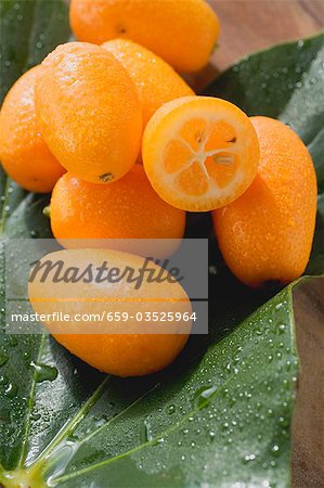 Kumquats avec gouttes d'eau sur les feuilles