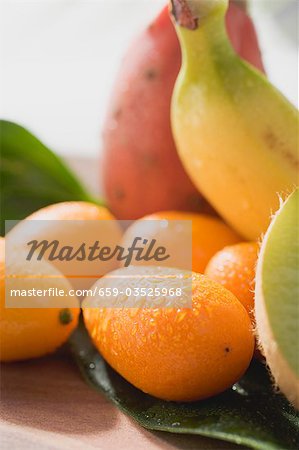 Fruit exotique nature morte aux kumquats
