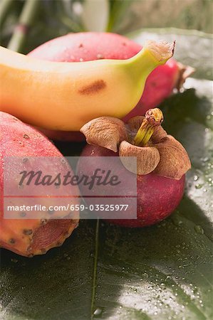 Mangostan, Kaktusfeigen und Banane am Blatt