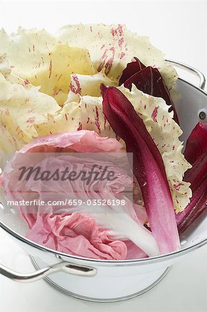 Various types of radicchio leaves in colander