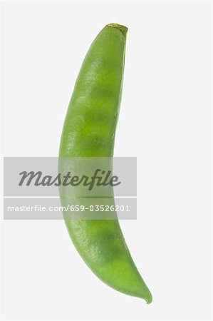 A pea pod