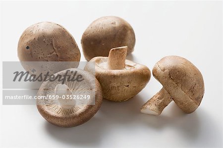 Champignons cinq shiitake