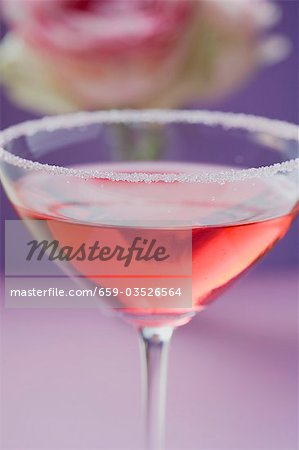 Rose liqueur in glass with sugared rim Rose liqueur in glass with sugared rim