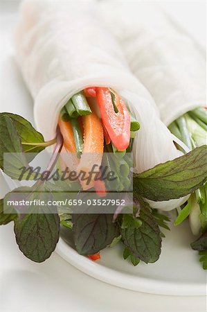 Rice paper roll filled with vegetables, glass noodles & herbs Rice paper roll filled with vegetables, glass noodles & herbs