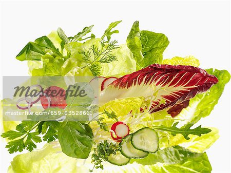 Divers ingrédients de la salade