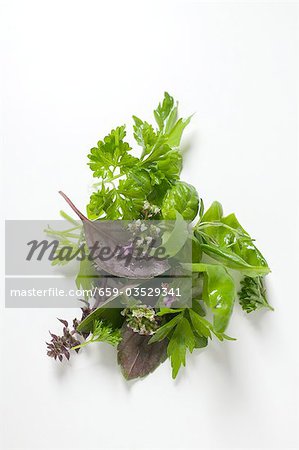 Diverses herbes fraîches Diverses herbes fraîches