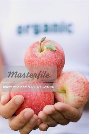 Hands holding a few organic apples