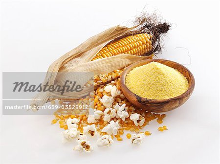 Épis de maïs, grains de maïs, semoule de maïs et pop-corn