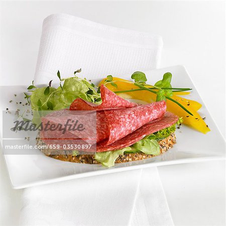 Sandwich salami ouvert