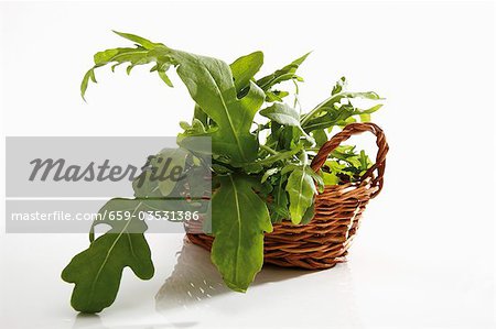 Roquette fraîche dans panier