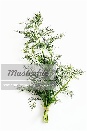 Fresh dill