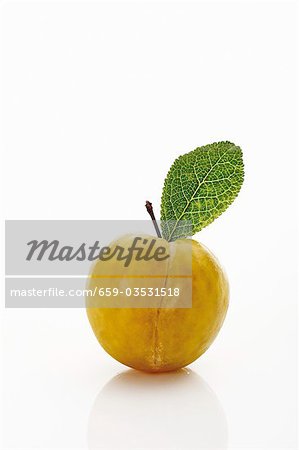 One yellow plum with leaf