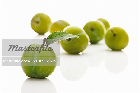 Several greengages, one with leaf