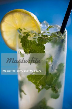 Mojito Mojito