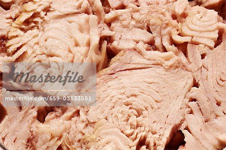 Tinned tuna (detail)